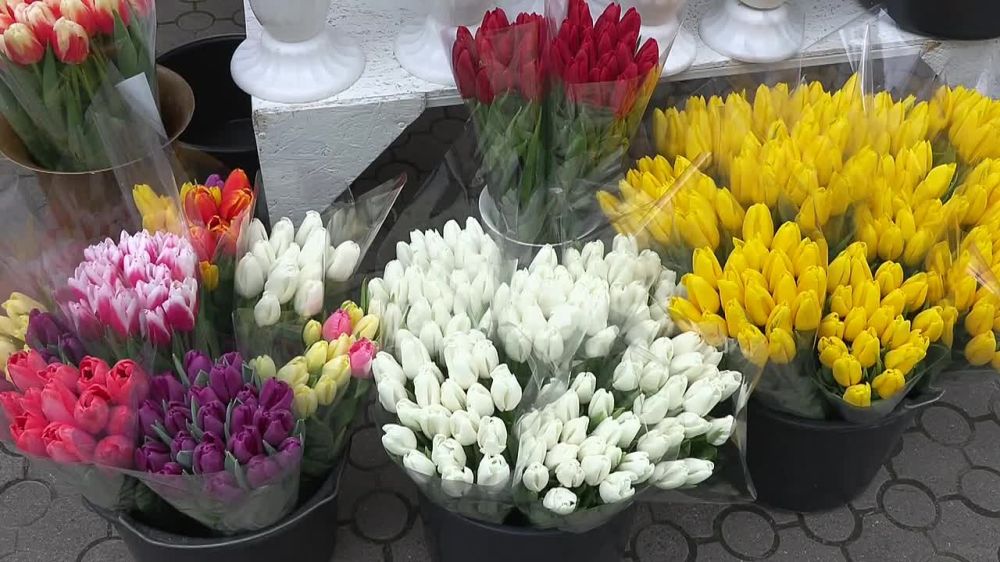 8 ����� � �����������, � � ��������� � ��������� ��������� ��� �������