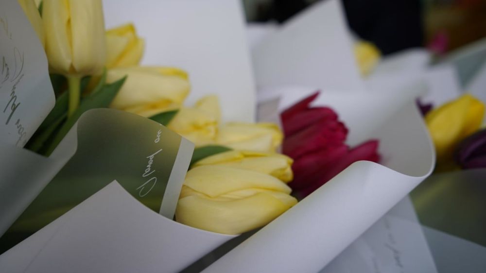 ���� ��������� � �����. ����������� ������ ����� �� ���� ������� ���� ������