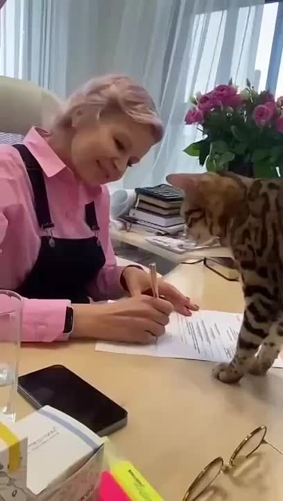 � ������� ���������� ���� ���������� ������������� �����