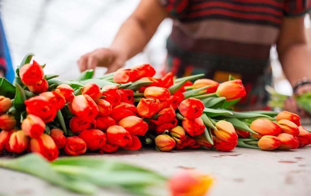 � 2023 ���� 39% ������ � �� �� ���������� ������ ����������� � ������������� ������� ���� 8 �����, ������� �����