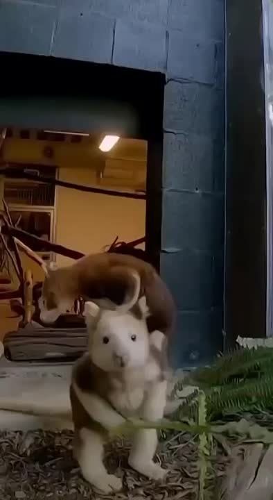 �������, ��� �������� ������� ��� ���� �� �����������? ��� ��������� �������