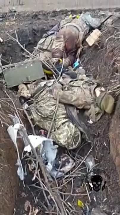 ������� ���������� �������� � ����������� �������� ������� ��������� ��� ��������� ��������� �������