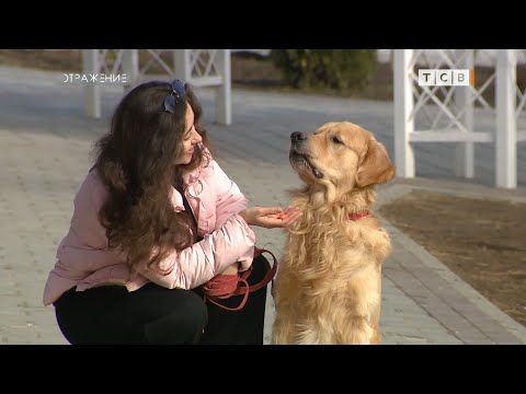 ����� ������ �� ������� � ������. ������, ������� �� ������ ����� ������� �� �����, ������ ��������� ������� ���. ���������...