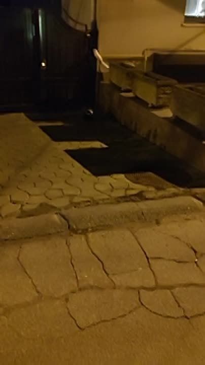 � �������� �������� �������