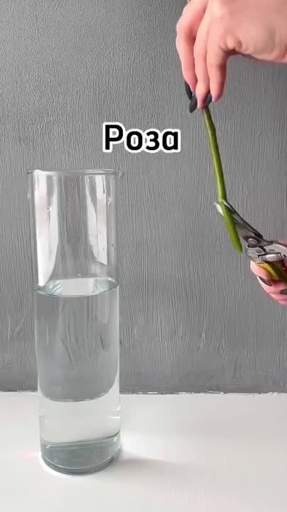 ��� ��������� ������� �����, ����� ��� ������ ������?