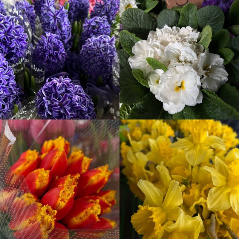 ����� ���������������� ����� �� ������ �����: