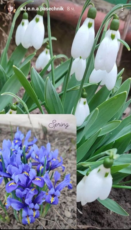 ������ ���������� �� ������ �����, �� � ����