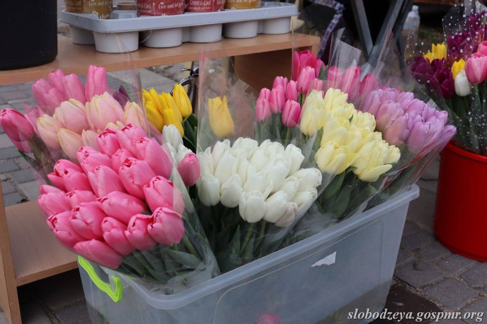 ��������� ����� �� ������. � ������� ���������� ������� ����� �� ����� ����. � � ������������� ������� ����� ����� ���� ��������