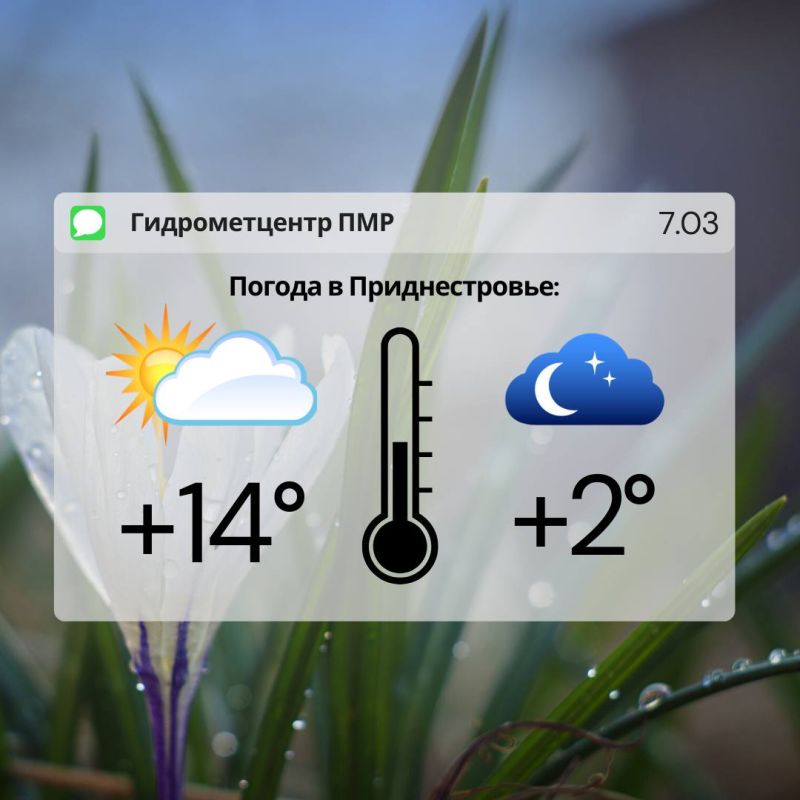 ��������� �������� � ������������ ������, ������� ��������������� �����