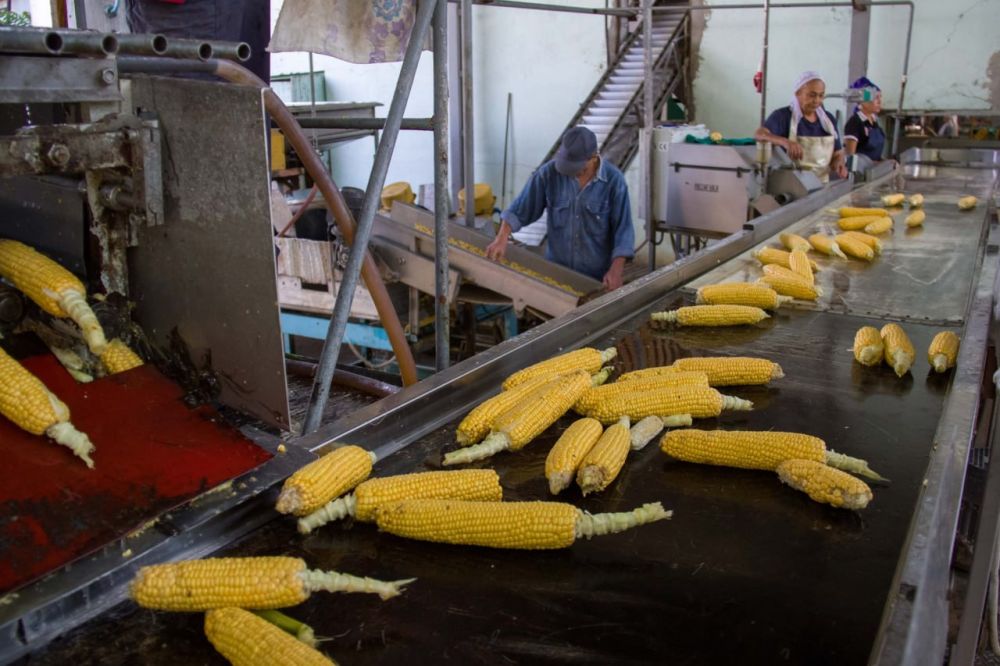 ��������� ����� ��������� �������� ������� � ���� �� ���������� ����������� � �������������