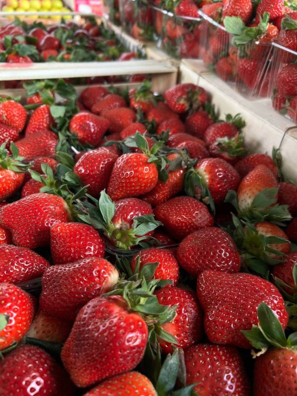 ������ ������ ������ �������� - �� 150 ������ �� �� �� �����