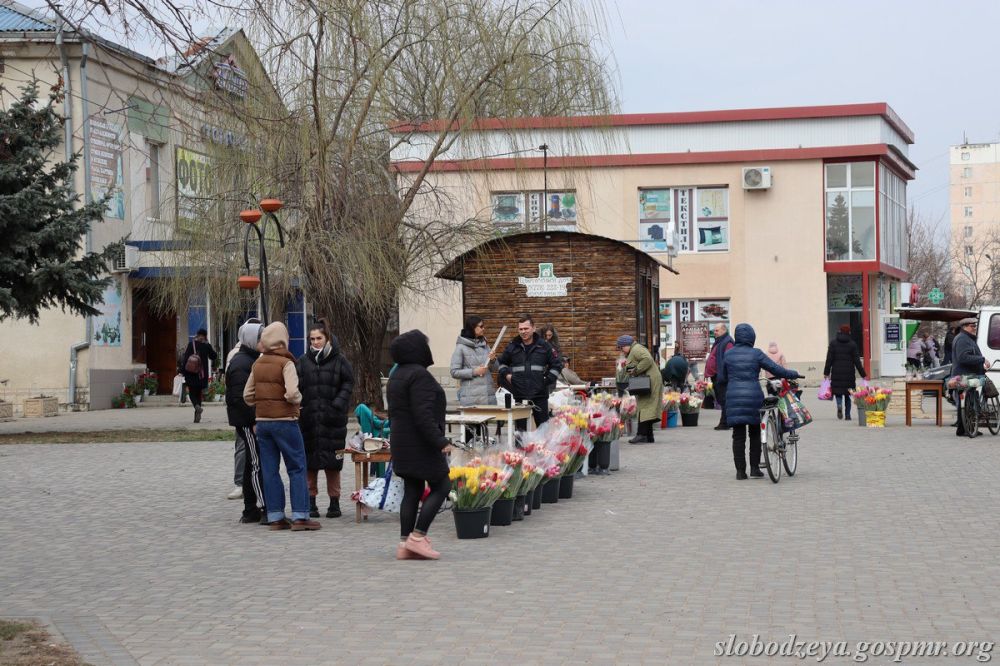 ����� ��������� ������