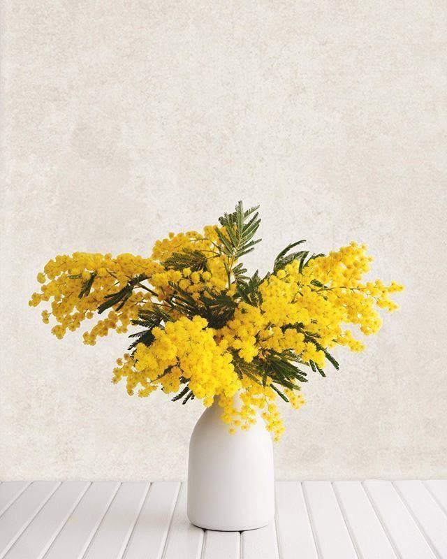 ��� ������� ���, ����� ��� ����������� ����� ����� ������?