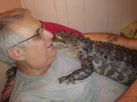 ������� � ����������� ������� ������� �������� �� ���������