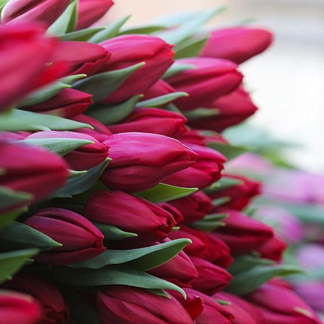 8 ����� ������� � ��� ���� ����� � ������������� ��������