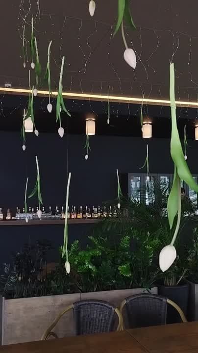 � ����� �� ������������� ���� �������� ����� ����������� ��������� ���.