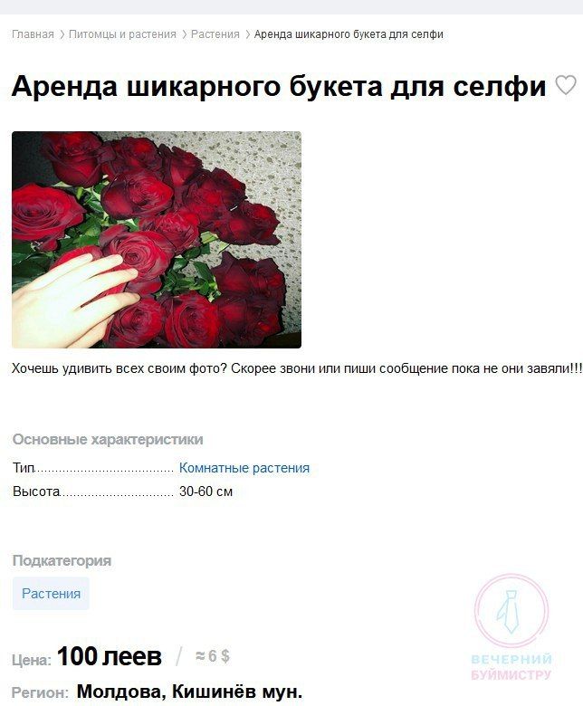 ��� �������� � �������. 8 ����� ������, ������ � ����� ������ ��������