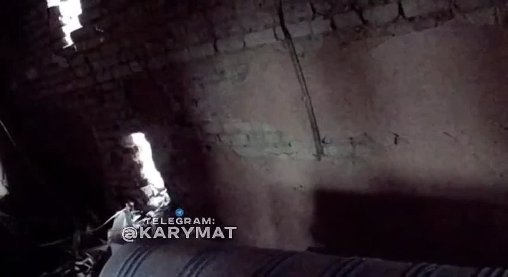 � ������� ��� ����������� ������� � ���������� ��������������, � ���������� ����, ����� ���� ��������� ������ �� �������: