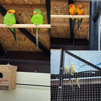 � �������������� ����� � 1 ������ ������� ��������