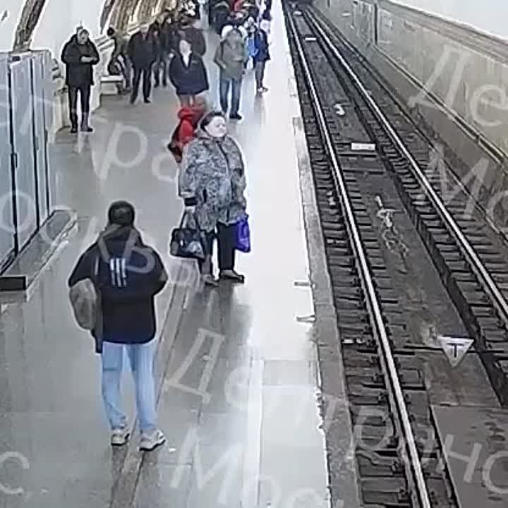 Ƹ����� �����. 15-������� ��������� �������� ��� ����� ����������� �����