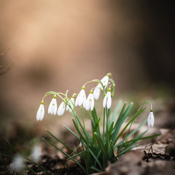 ����������� � ��������� ������