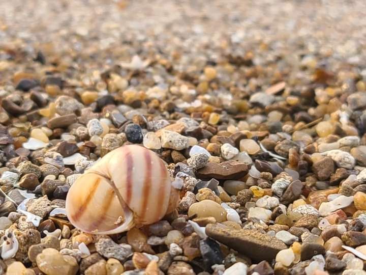 �������. ������.. ���� ��������� �����������