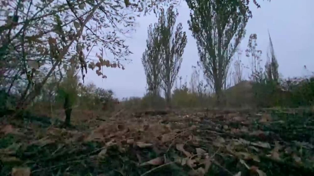 8 ����������� ��������� � ��� 14 ����������� � ���������� �����������