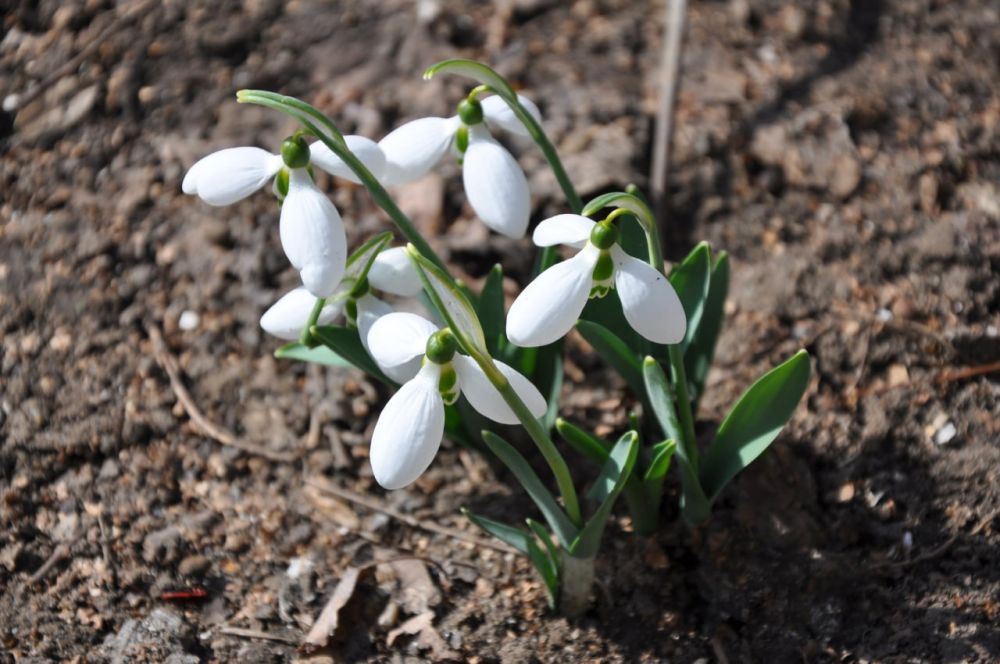 �������������� ������������� ������ � ��������� �������