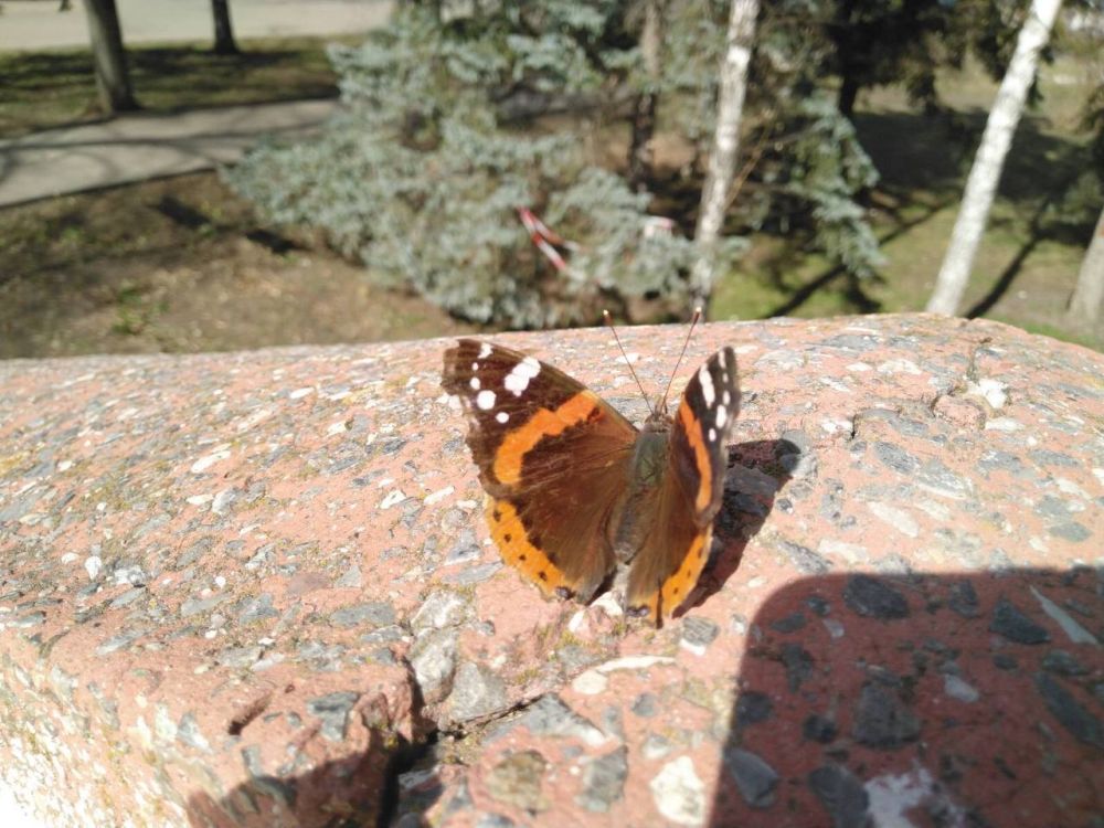 11 ����� ��������� �������� ������, ������� �����