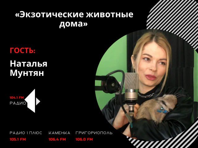 ������������� �������� ����