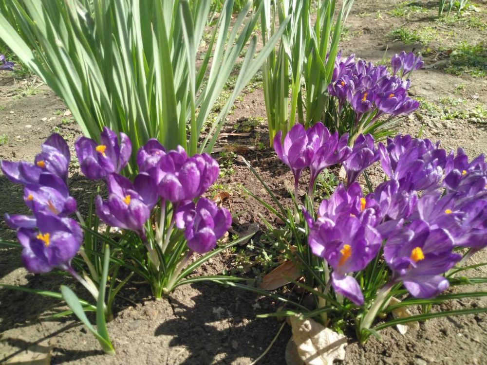 ����� ���. ����� ������ ���������� ����. ����� �������� ��� ������ ����������