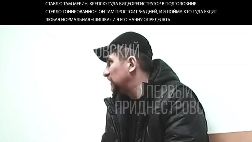  :    ,         