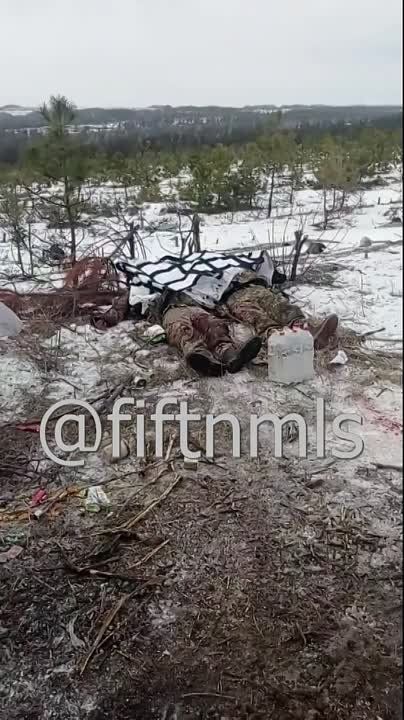 �� �� ���������� ���������� ����������� ����� ������ � ��������