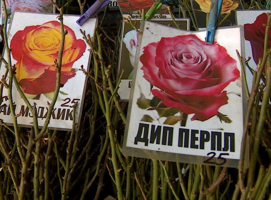 �� ������� ����� ���� �� ������