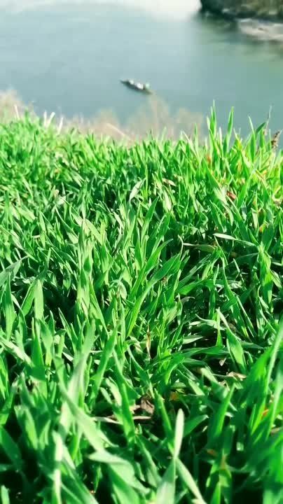 �� ����� � �����-�����. ��������� ������ ��� ��������