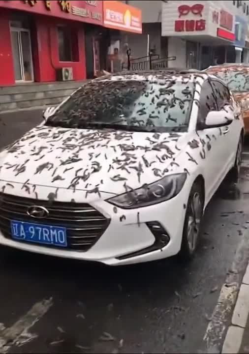 ������ �� ������ � ����� ����� ���������� � ����