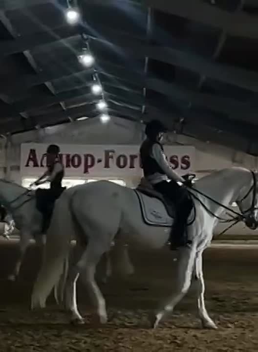 ��������� ������� ����� ������ ������ �� ������� ��� ����� ������