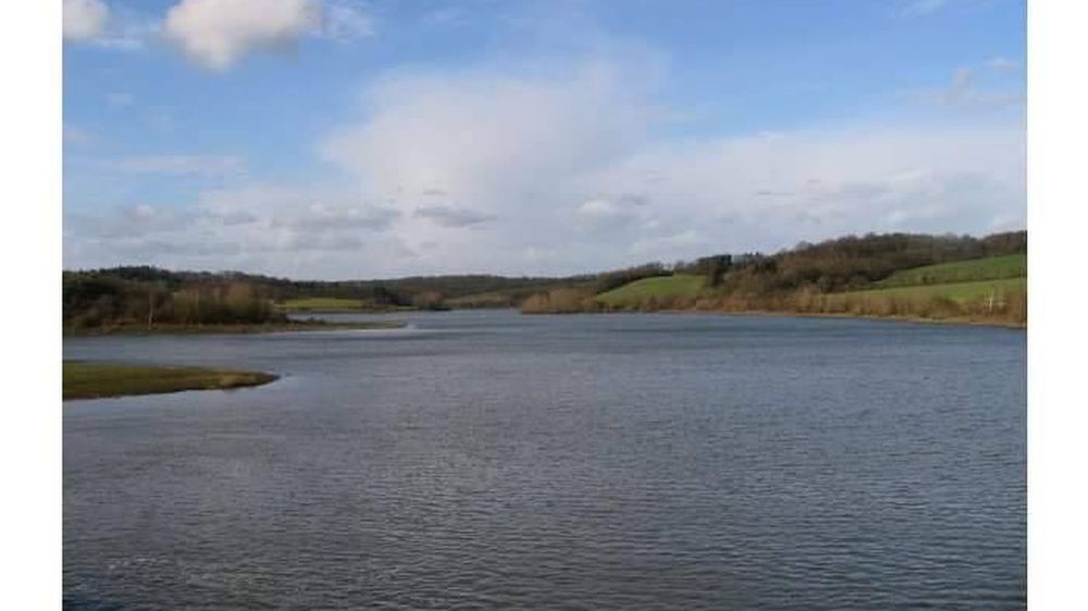 ���� �����������: ������ �� ���������� ������� ������� - ������ ������������