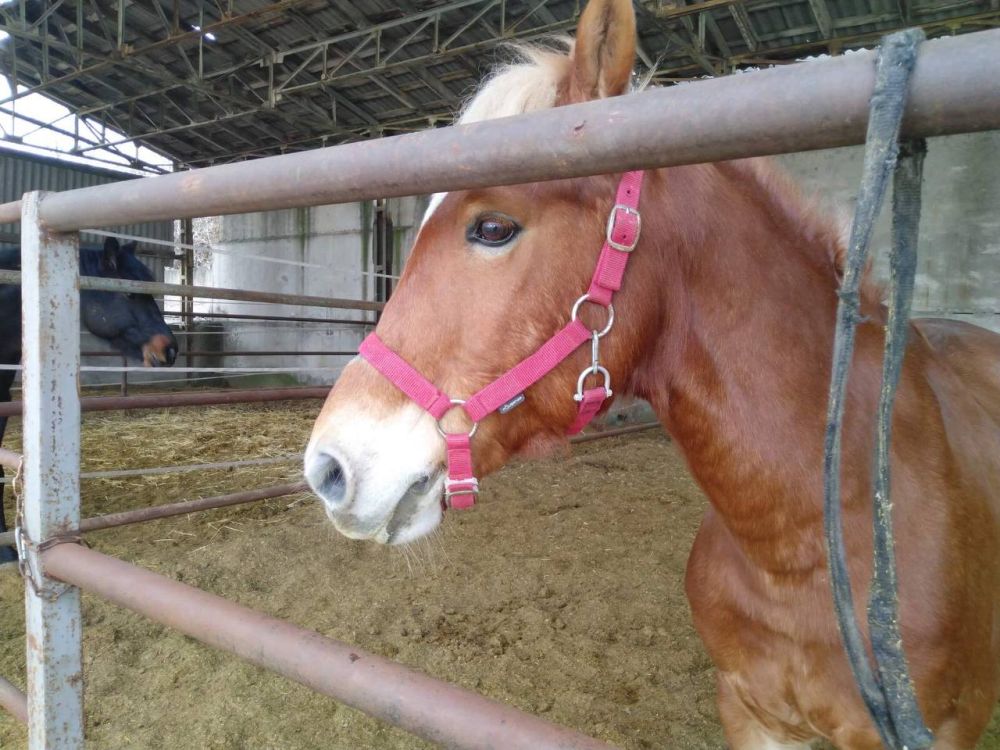 � ��� ��������� ���� ����. ��� ����� �� �������� �� ����������� �������� ������, �������� �������