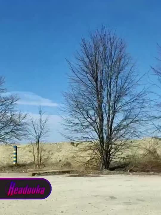 �� ������� �������� � �������� �������� ������� ��� � ����������������, �� ���������������