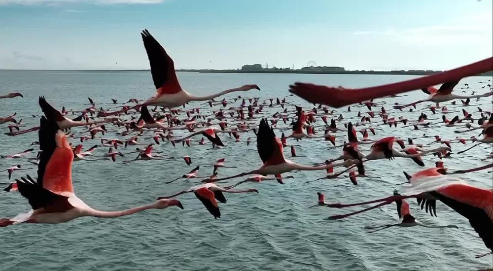 �������� ��������� �������� ����� ���������� �������� ����� � �������� ��������