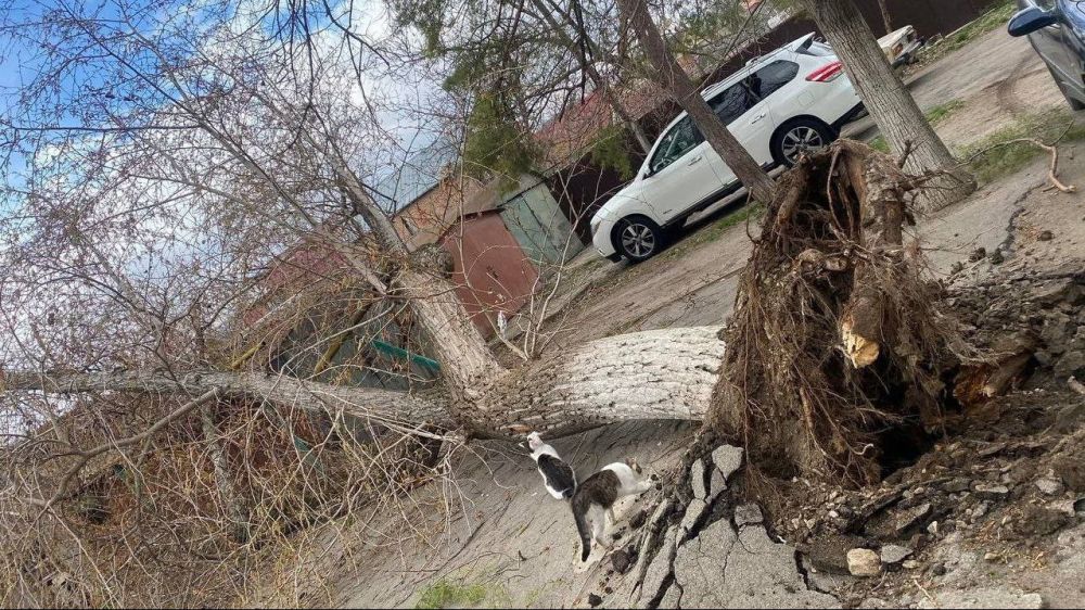 � �������� ������� ����� ������ � ������� ������