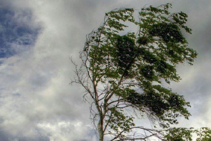 ��������� ��������������!