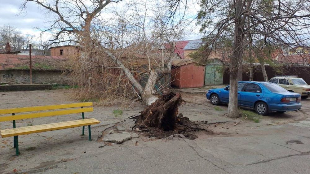 � �������� ����� ������ ������ � ������