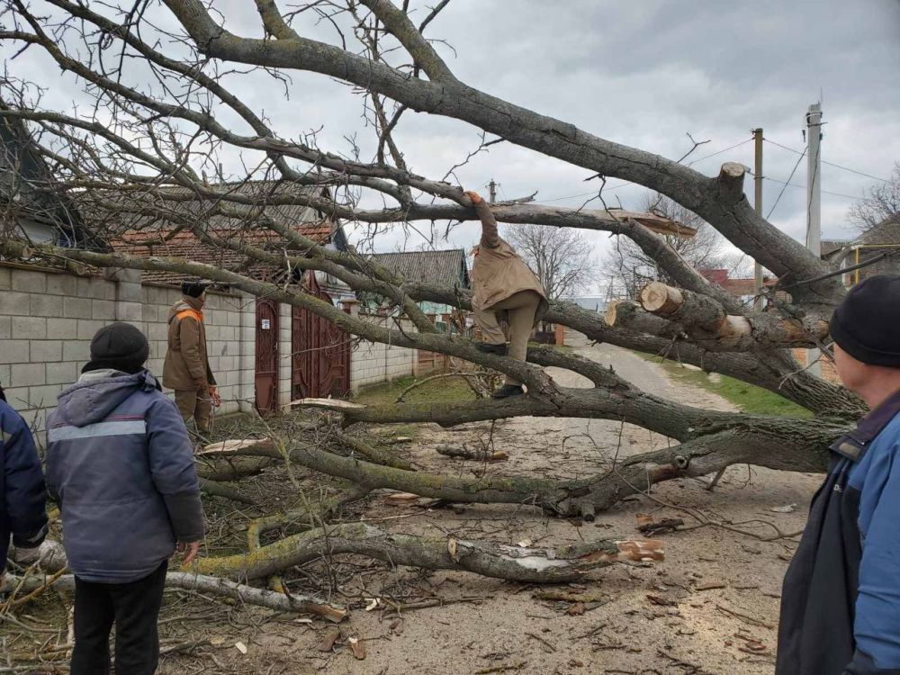 � �������� ������� ������� � ���������� � ������ ������������� �������� �������� �����