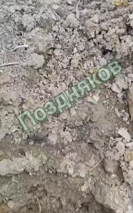 �� �������� ����������� ������-����� ��� ���������� ����� �� ��������������, �� �� ��� �� ������ �������