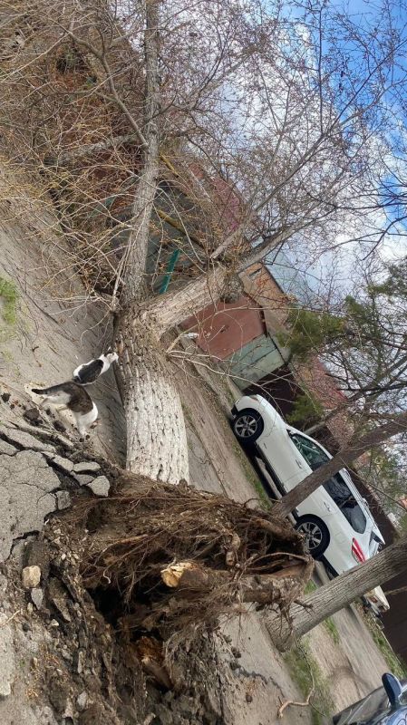 � �������� ������� ����� ������� ������