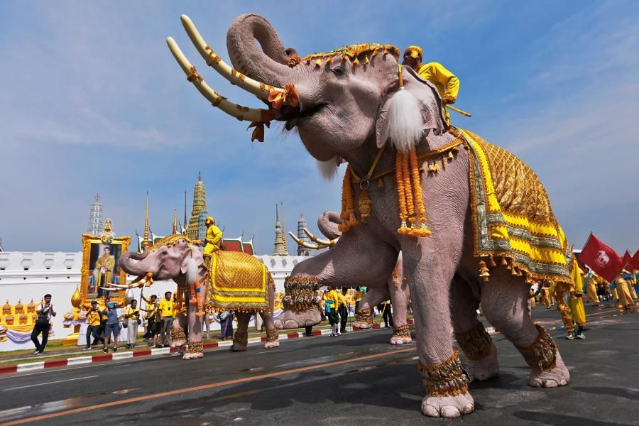 ������� ��������� ���� �����