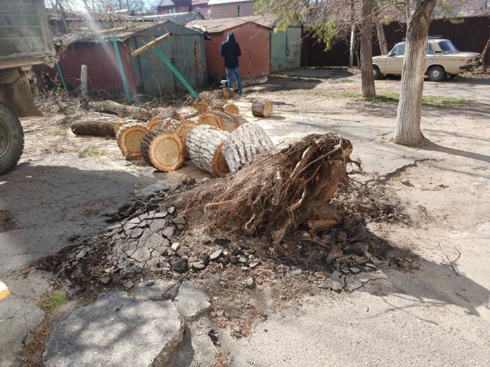 ��������� ����������� ��������