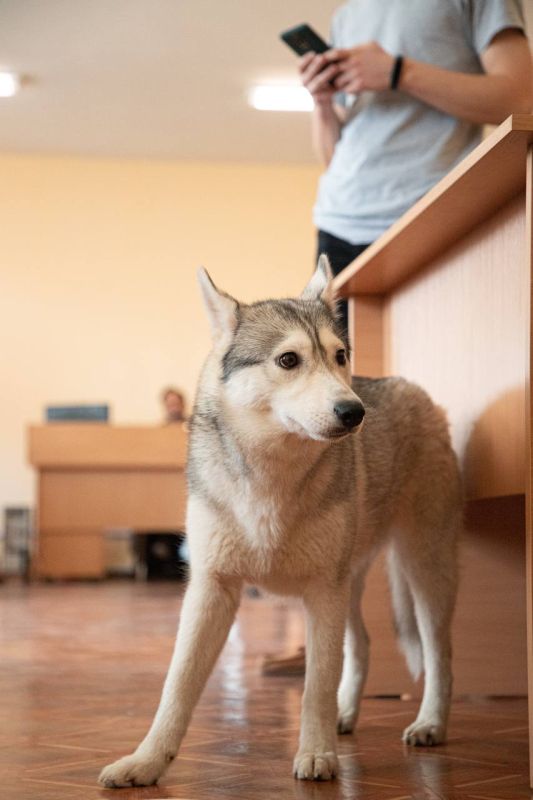 �������� ����� ��������� ��������������